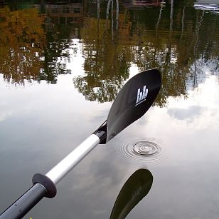 Read more about the article Guided Kayak Paddle – One Hour